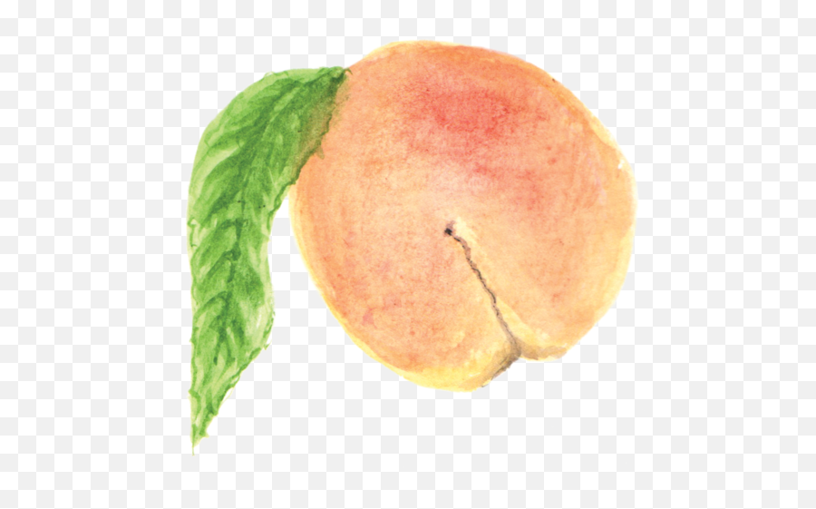 Peach - Watercolor Painting Emoji,Peanut Butter Emoji