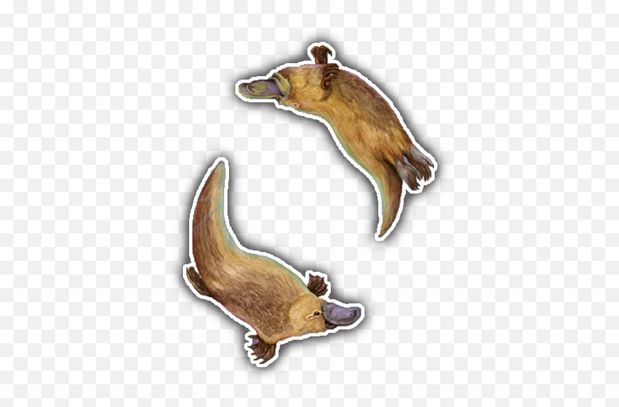 Platypus Stickerpack Stickers For Telegram - Marine Mammal Emoji,Platypus Emoji