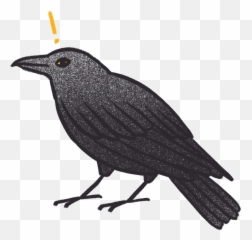 Crow Bro - American Crow Emoji,Crow Emoji