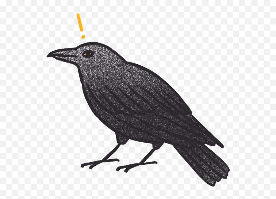 Crow Bro - American Crow Emoji,Crow Emoji