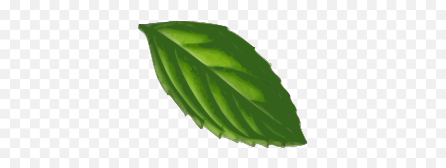 Mint Leaf Png Svg Clip Art For Web - Download Clip Art Png Mint Leaf Clip Art Emoji,Leaf Emoji Png