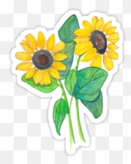 Collection Of Free Flower Emoji Png - Sticker
