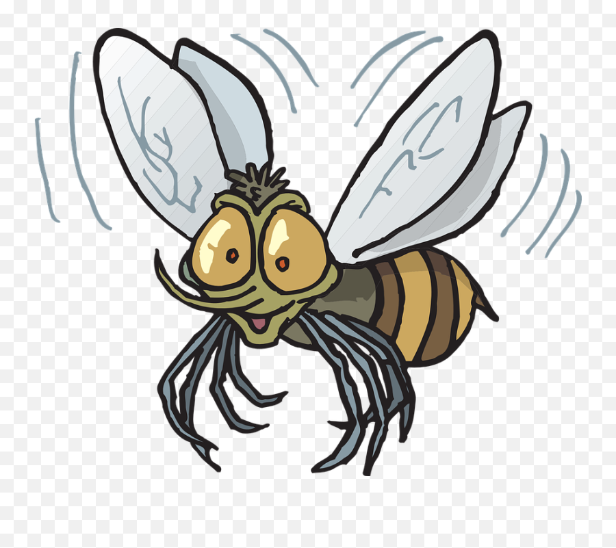 Free Bee Honey Vectors - Fly Insect Clipart Emoji,Honey Emoji