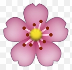 Sakura Flower - Flower Emoji Png,Sakura Emoji