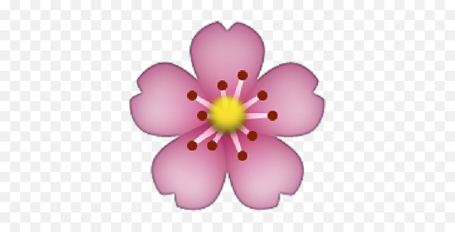 Sakura Flower - Flower Emoji Png,Sakura Emoji