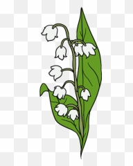 How To Draw A Lily Of The Valley - Easy Lily Of The Valley Drawing Emoji,Asparagus Emoji