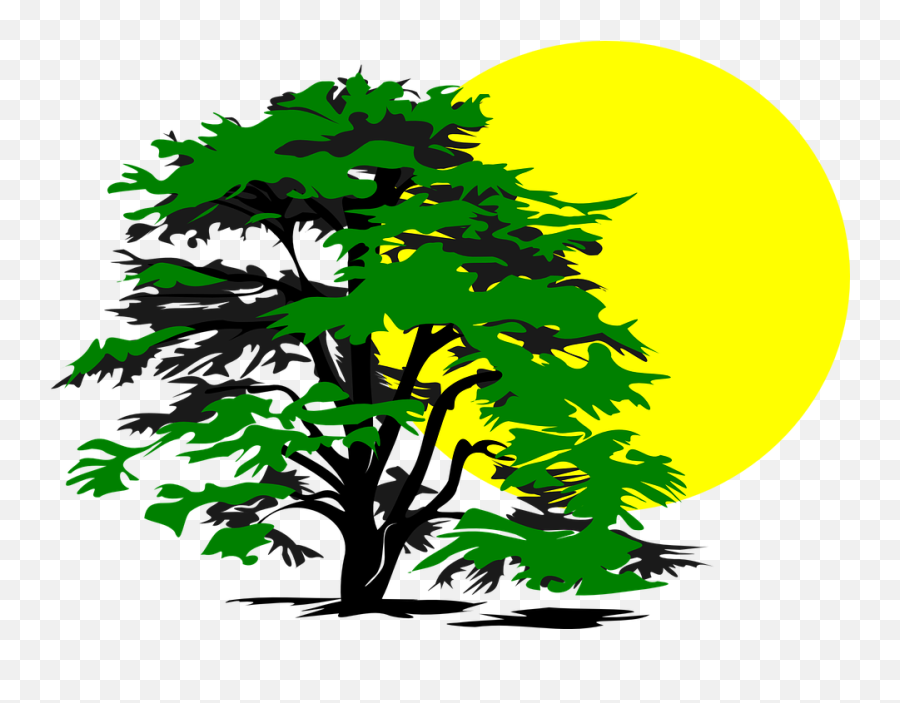 Free Sunlight Sun Vectors - Sun And Tree Clipart Emoji,Palm Tree Emoticons