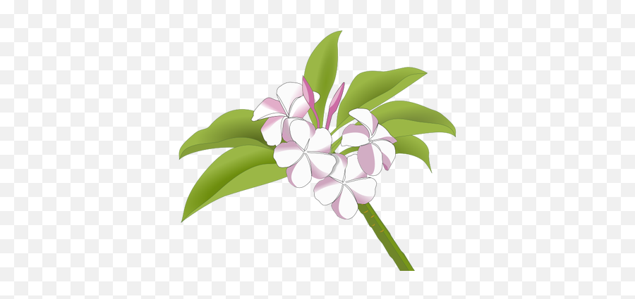 Hawaiian Flowers - Logo Bunga Kamboja Emoji,Hawaiian Flower Emoji