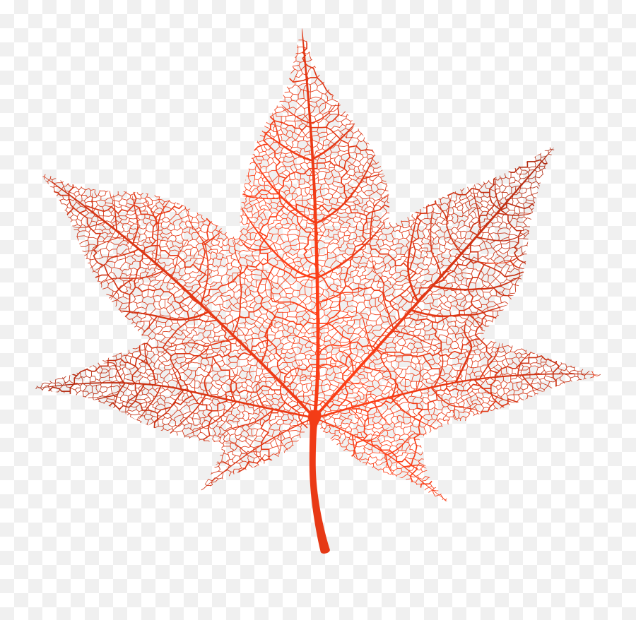 Transparent Red Autumn Leaf Png Clip - Transparent Maple Leaf Background Emoji,Autumn Leaf Emoji