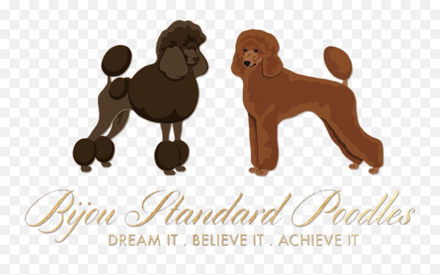 Puppy Clip Miniature Poodle Transparent Png Clipart Free - Poodle Emoji,Poodle Emoji