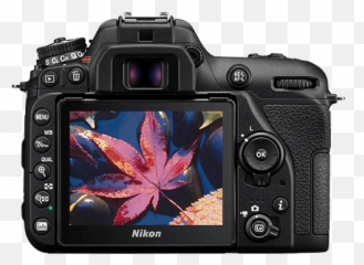 Camera Display - Designbust D7500 Vs 90d Emoji,Camera Emoji Transparent