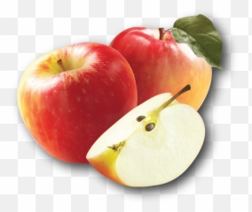 State Symbols u0026 Agriculture MN Mag - Apple Emoji