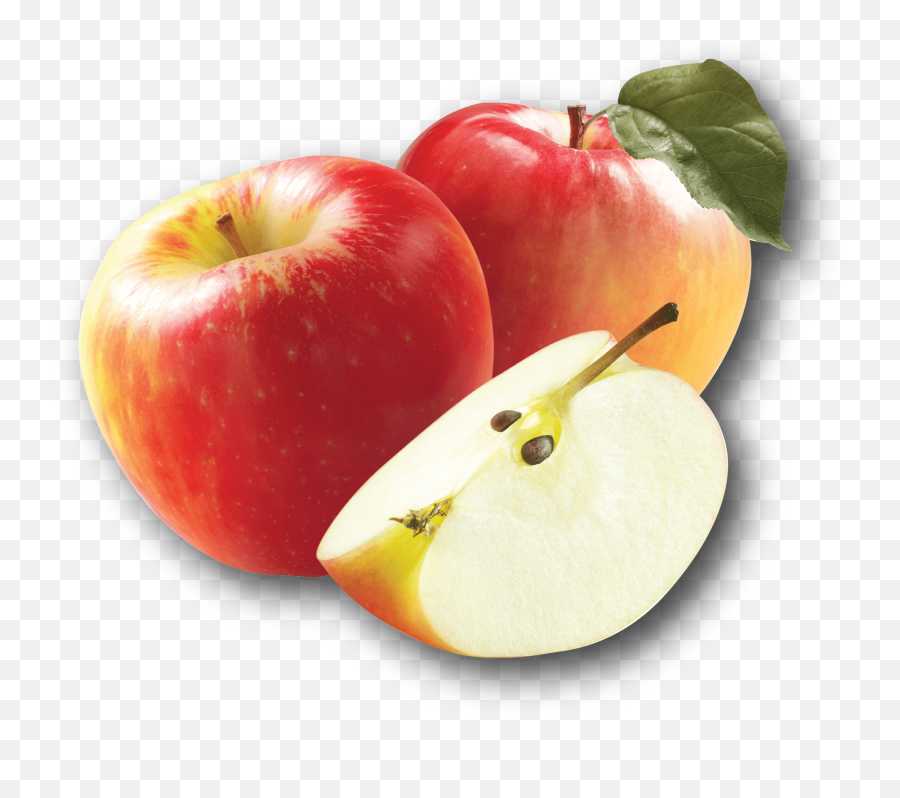 State Symbols U0026 Agriculture Mn Ag Mag - Apple Emoji,Emoji Apple Bees