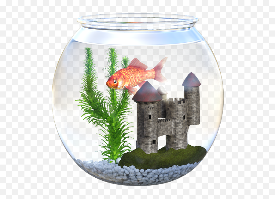 Fish Bowl Goldfish Fishbowl - Goldfish Castle Bowl Emoji,Fish Hook Emoji