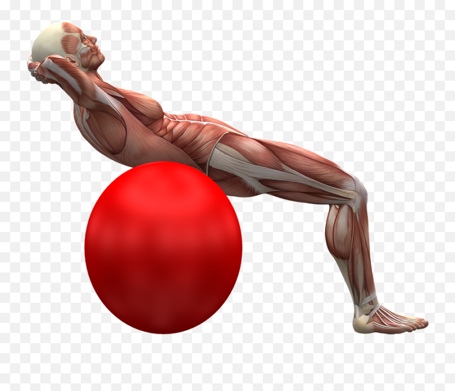Free Muscle Man Illustrations - Physiotherapy Animation Emoji,Strong Arm Emoji Png
