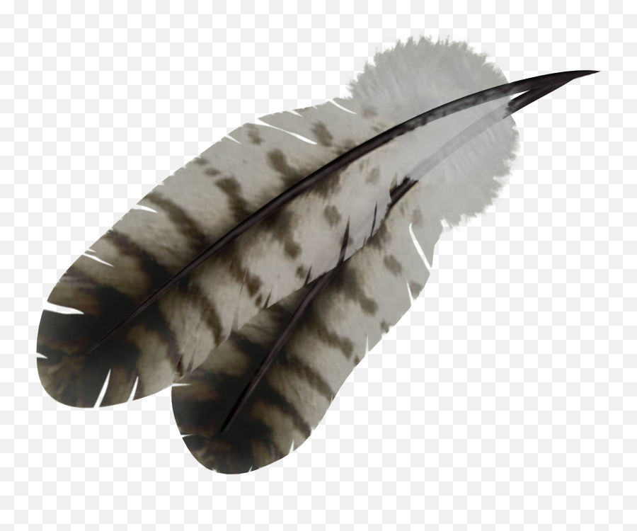 Feather Png - Transparent Background Feathers Emoji,Native American Emoticons