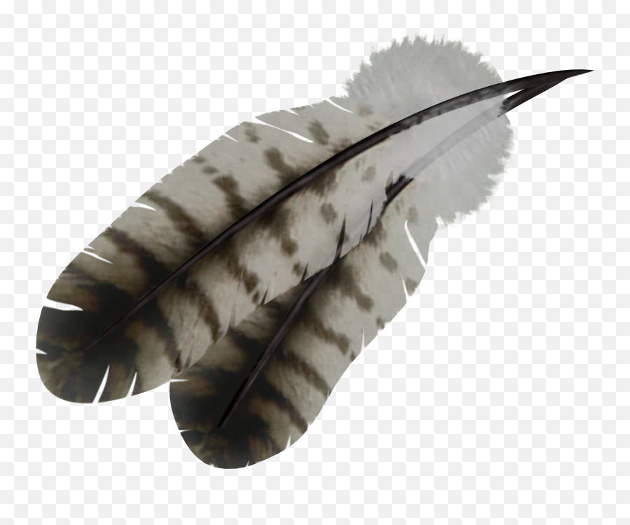 Feather Png Transparent Background Feathers Emoji,Native American