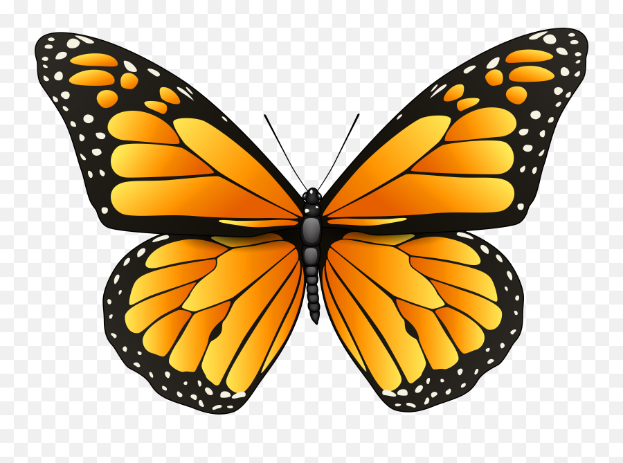 Picture - Monarch Butterfly Emoji,Free Butterfly Emoji