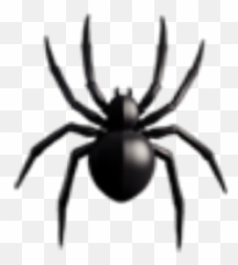 Freetoedit Spideremoji Spider Emoji Aesthetic Black Ins - Wolf Spider,Spider Emoji