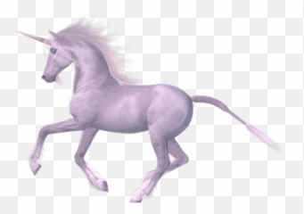 100 Free Magical Horse U0026 Unicorn Illustrations - Pixabay Fairy Tales Horse Emoji,Unicorn Emoji Cake