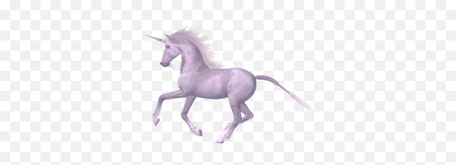 100 Free Magical Horse U0026 Unicorn Illustrations - Pixabay Fairy Tales Horse Emoji,Unicorn Emoji Cake