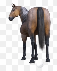 Jumpy Horse Stickers by Internet Reshenia LLC - Stallion Emoji