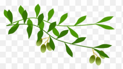 Olive Branch With Olives - Free Clip Art Emoji
