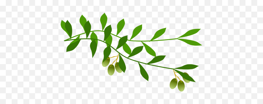 Olive Branch With Olives - Olive Branch Free Clip Art Emoji,Olive Branch Emoji