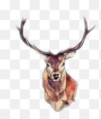 Freetoedit - Deer Drawing Watercolor Emoji,Whitetail Deer Emoji