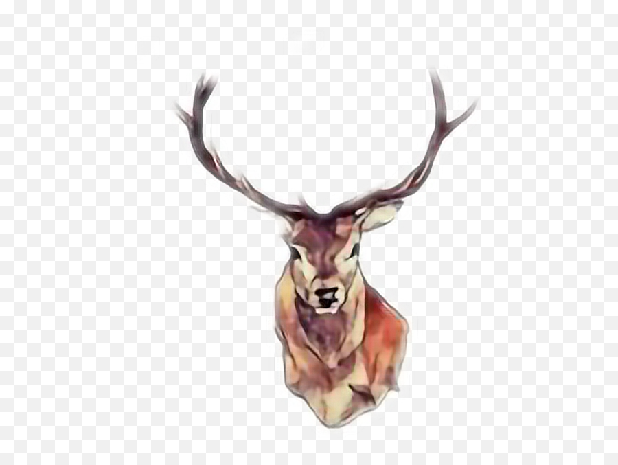 Freetoedit - Deer Drawing Watercolor Emoji,Whitetail Deer Emoji