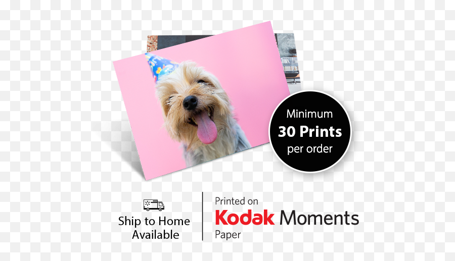Product Pricing - Walmart Photo Centre Kodak Emoji,Dog Print Emoji