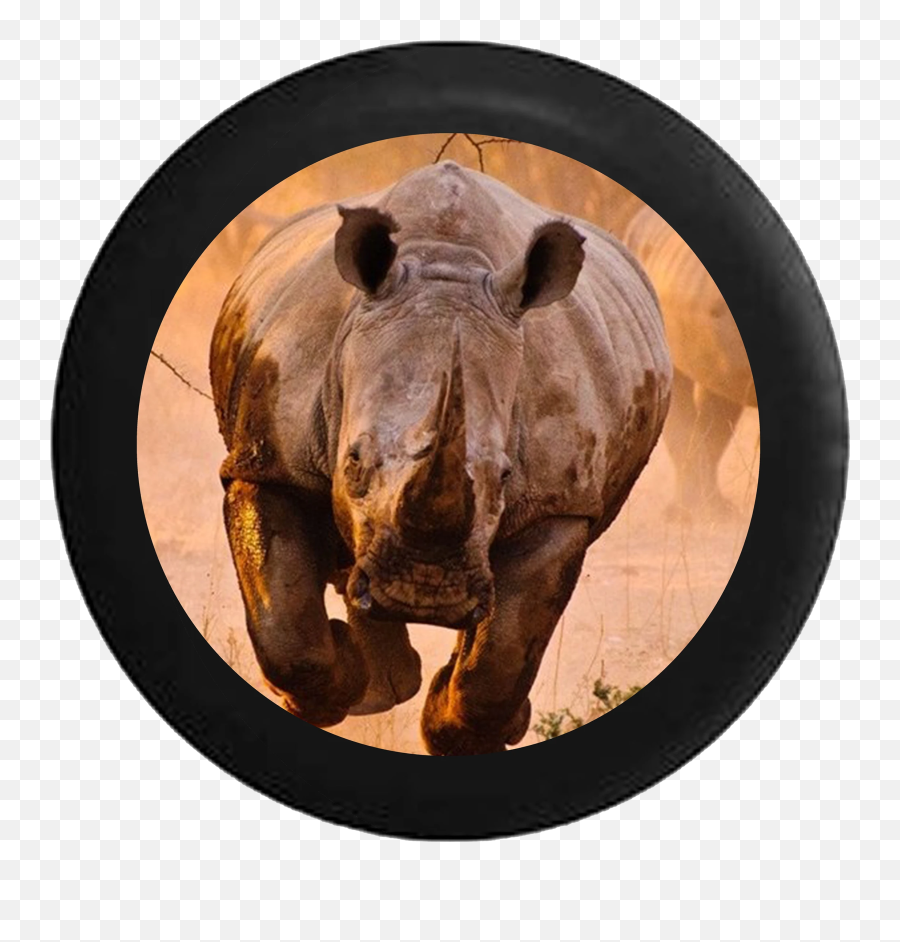 Charging African Grey And Black Rhino Jeep Camper Spare Tire Cover Black - Biggest Animal In Indonesia Emoji,Rhino Emoji
