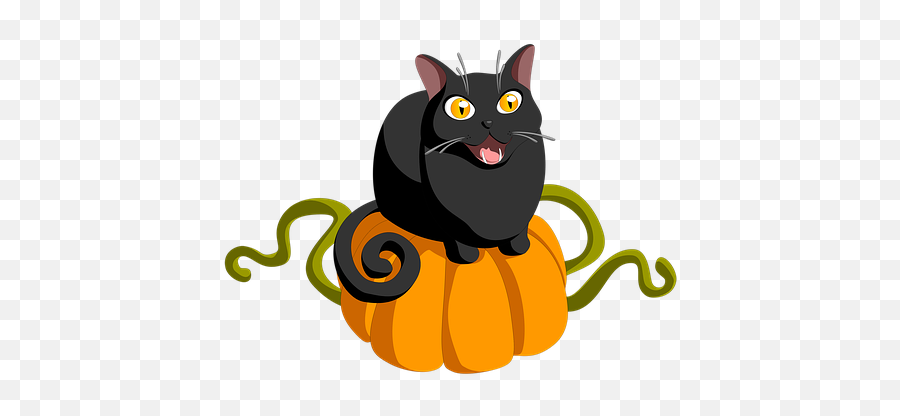 Black Cat Halloween Illustrations - Abobora Com Gato Halloween Png Emoji,Cheshire Cat Emoji