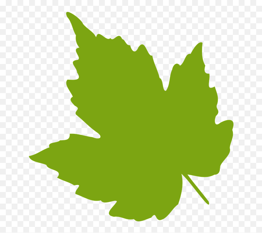 Free Greenery Leaves Vectors - Clip Art Grape Leaves Emoji,Leaves Emoji