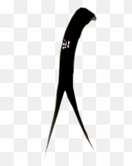 Snake - Puma Emoji,Snake Boots Emoji