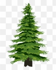Pine Tree Clipart Christmas Png - Transparent Emoji