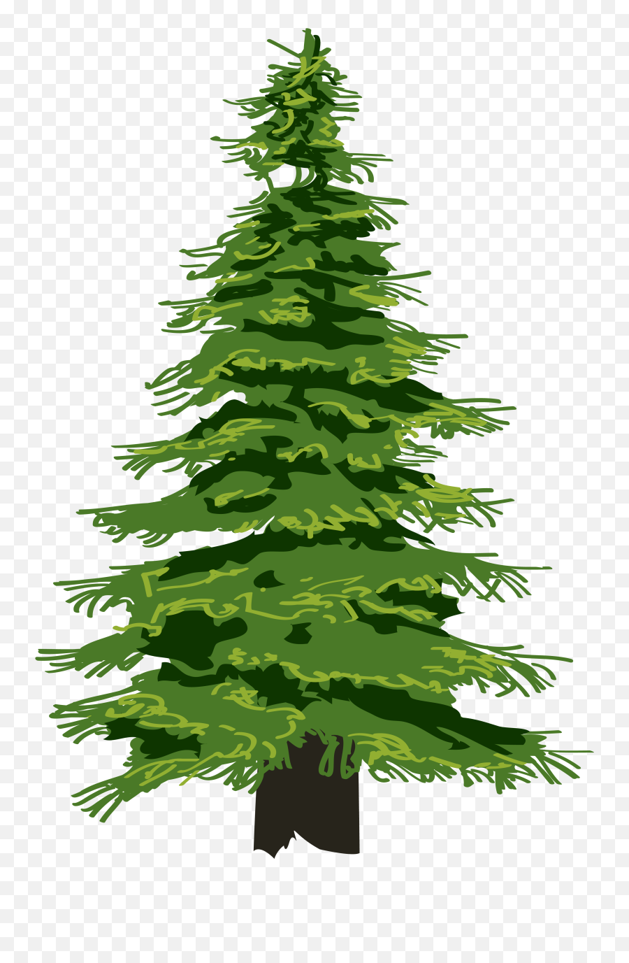 Pine Tree Clipart Christmas Tree Png - Transparent Pine Tree Clipart Emoji,Evergreen Tree Emoji