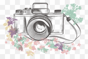 Camera Photography Illustration - Camera 500500 Transprent Camera Clipart Flowers Emoji,Film Camera Emoji