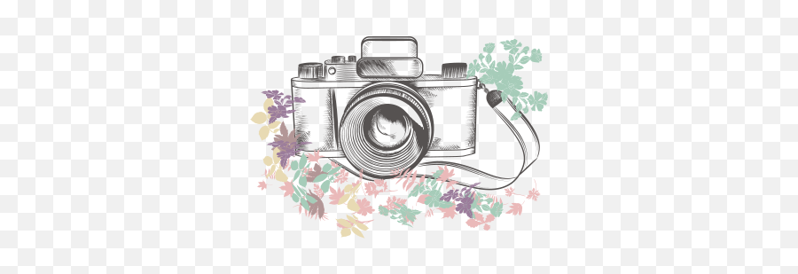 Camera Photography Illustration - Camera 500500 Transprent Camera Clipart Flowers Emoji,Film Camera Emoji
