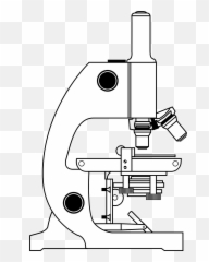 460 Microscope Free Clipart - Microscope Clipart Black And White Emoji,Microscope Emoji