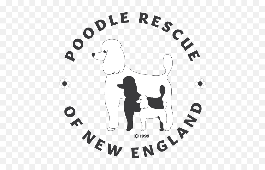 The Best Free Poodle Icon Images - Standard Poodle Emoji,Poodle Emoji