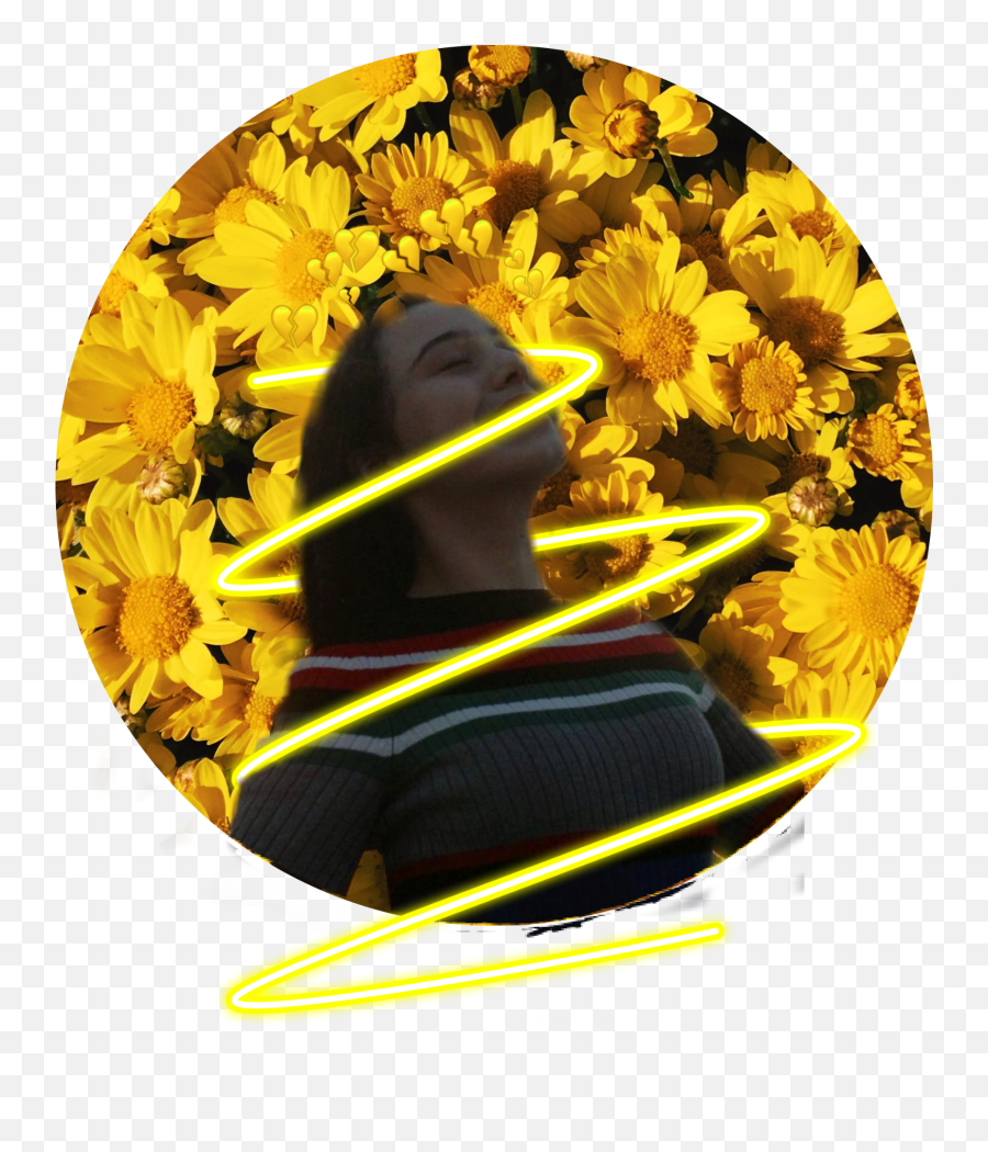 The Newest Feyenoord Stickers On Picsart - Flower Aesthetic Yellow Background Emoji,Terd Emoji