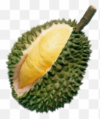 Durian - Fruit Banned In Thailand Emoji