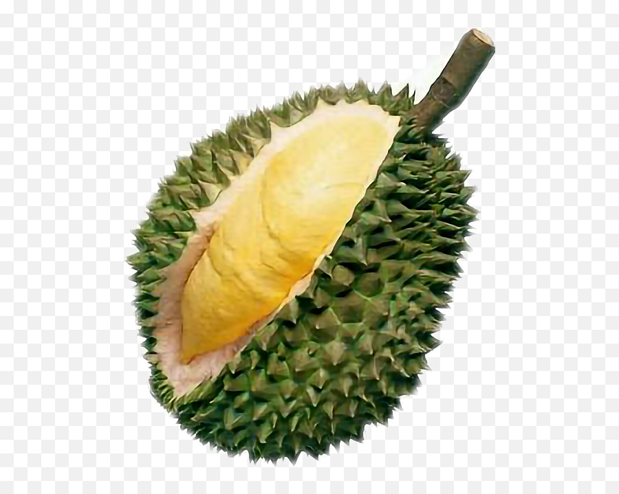 Durian - Fruit Banned In Thailand Emoji,Durian Emoji