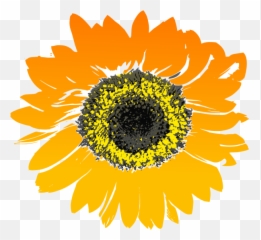 Sunflower - Sunflower Graphic Emoji,Flower Emoticon
