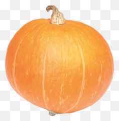 Portable Network Graphics Clip art Pumpkin Image Drawing - Emoji