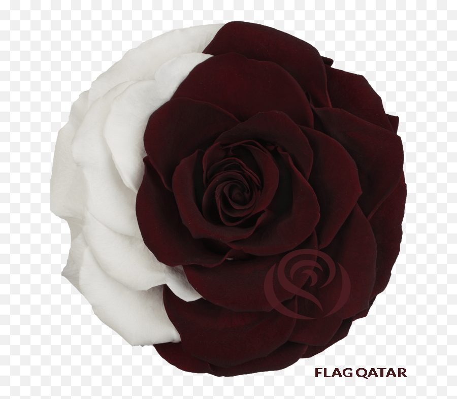 Flags Preserved Flowers - Garden Roses Emoji,Qatar Flag Emoji