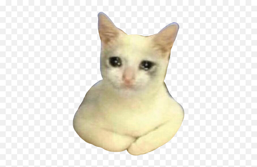 Sadcat Crying Tears Cat Sticker - Ia Stoy Arto Meme Emoji,Crying Cat Emoji