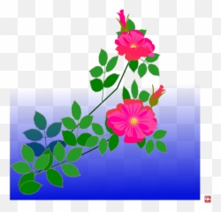 Rosa Glauca Emoji