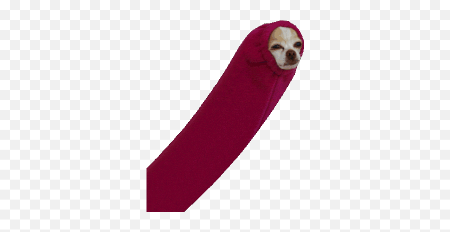 Top Long Dong Stickers For Android U0026 Ios Gfycat - Dong Gif Emoji,Sloth Emoji